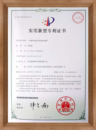 Honorary certificate 6
